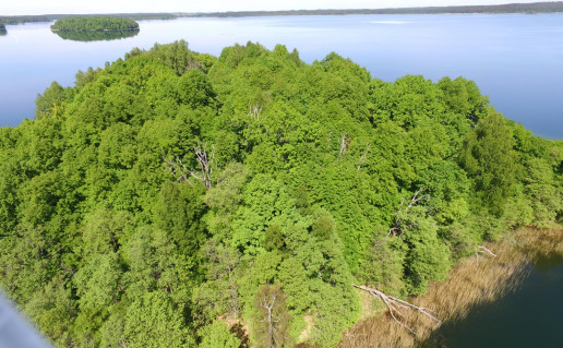 13_Pliksale.S.Kvasinsko n.jpg